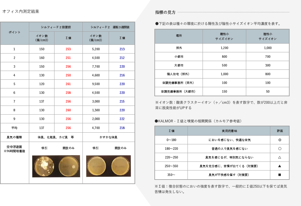 測定結果